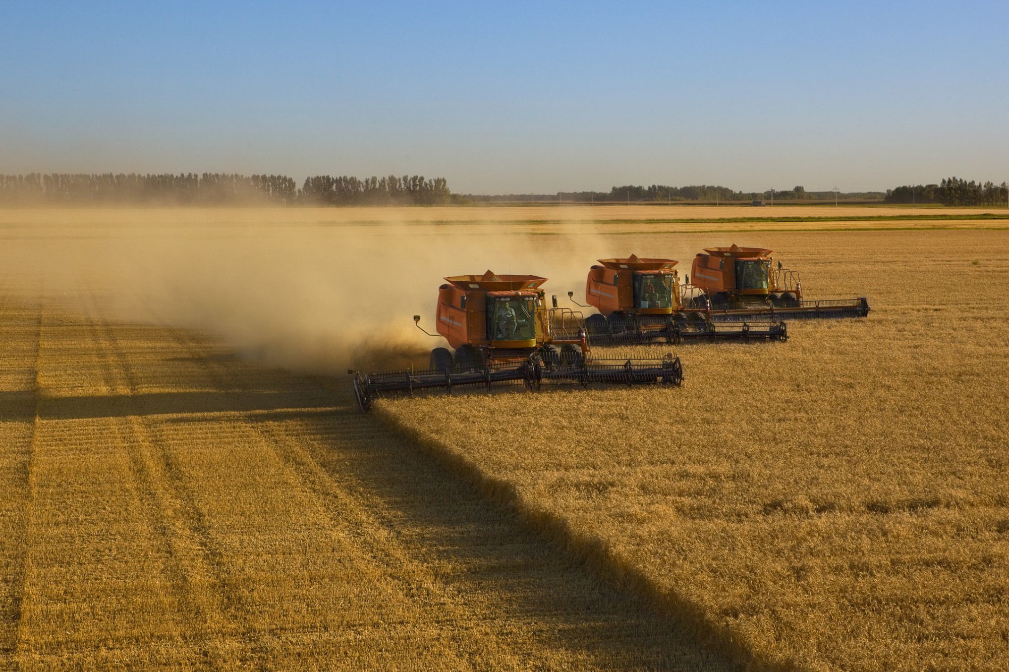 5 dicas para gerenciar a manutenção de equipamentos agrícolas