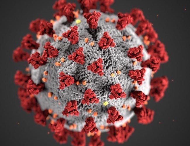 Impactos da pandemia no setor de Transportes e Logística