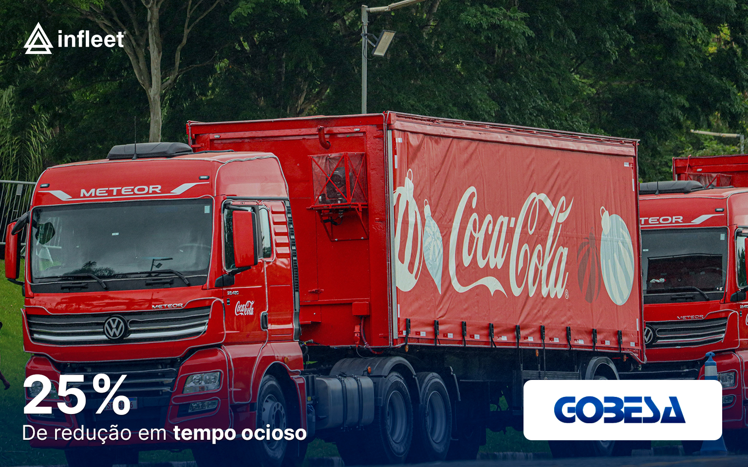 Cobesa (2)