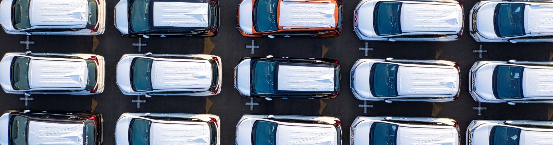 Entenda como cortar gastos da frota com o guia INFLEET!