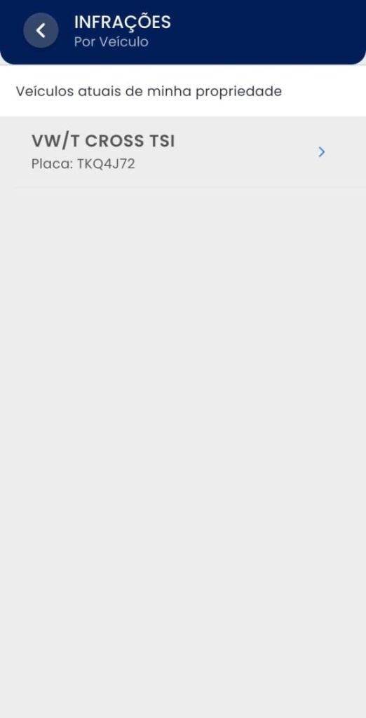 Tela 4: App de consulta CNH do Brasil