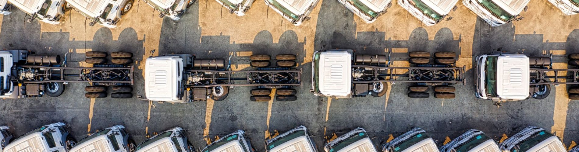 Entenda mais sobre qual é o papel do gestor na Nova NR-1!