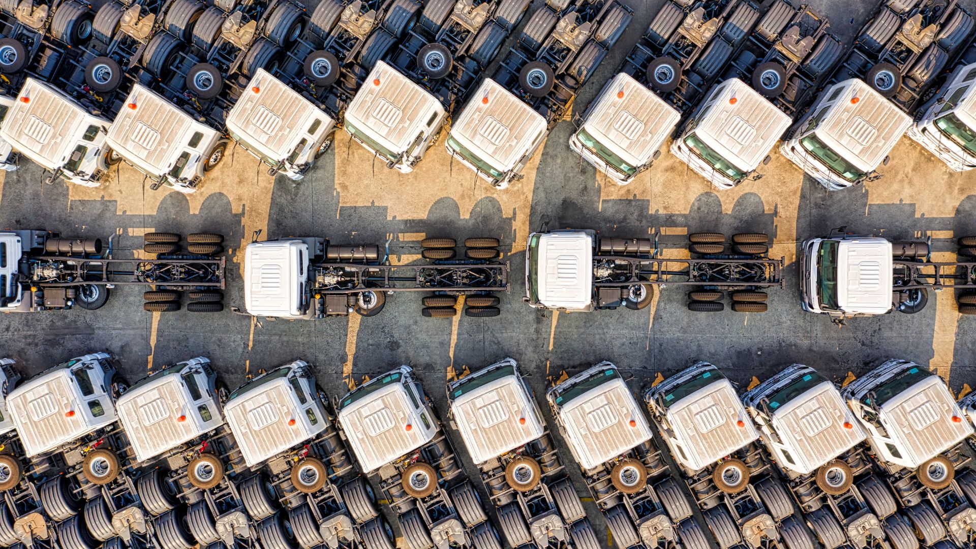 Entenda mais sobre qual é o papel do gestor na Nova NR-1!