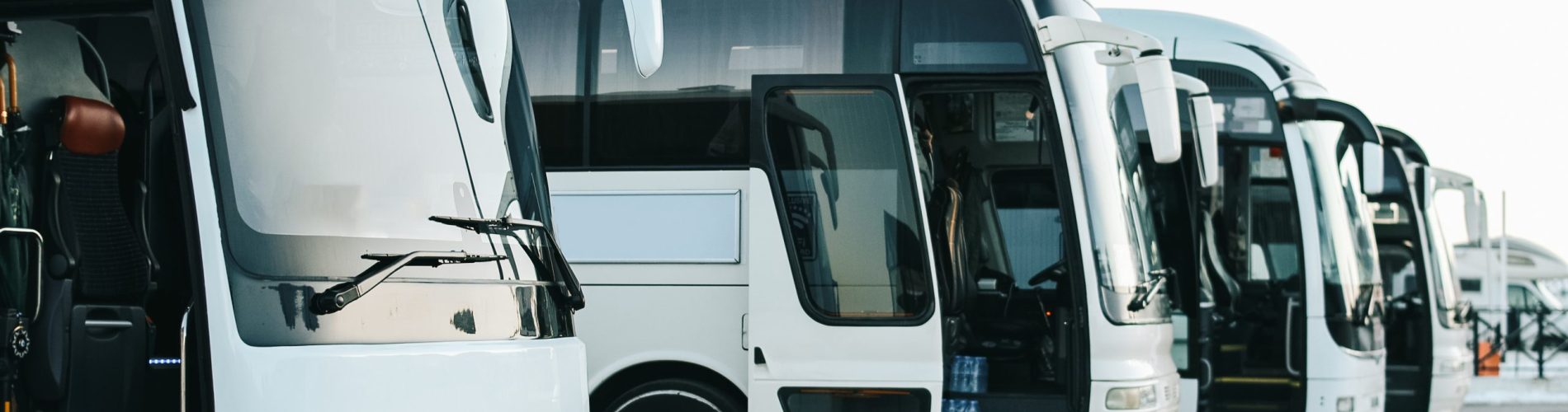 Onibus