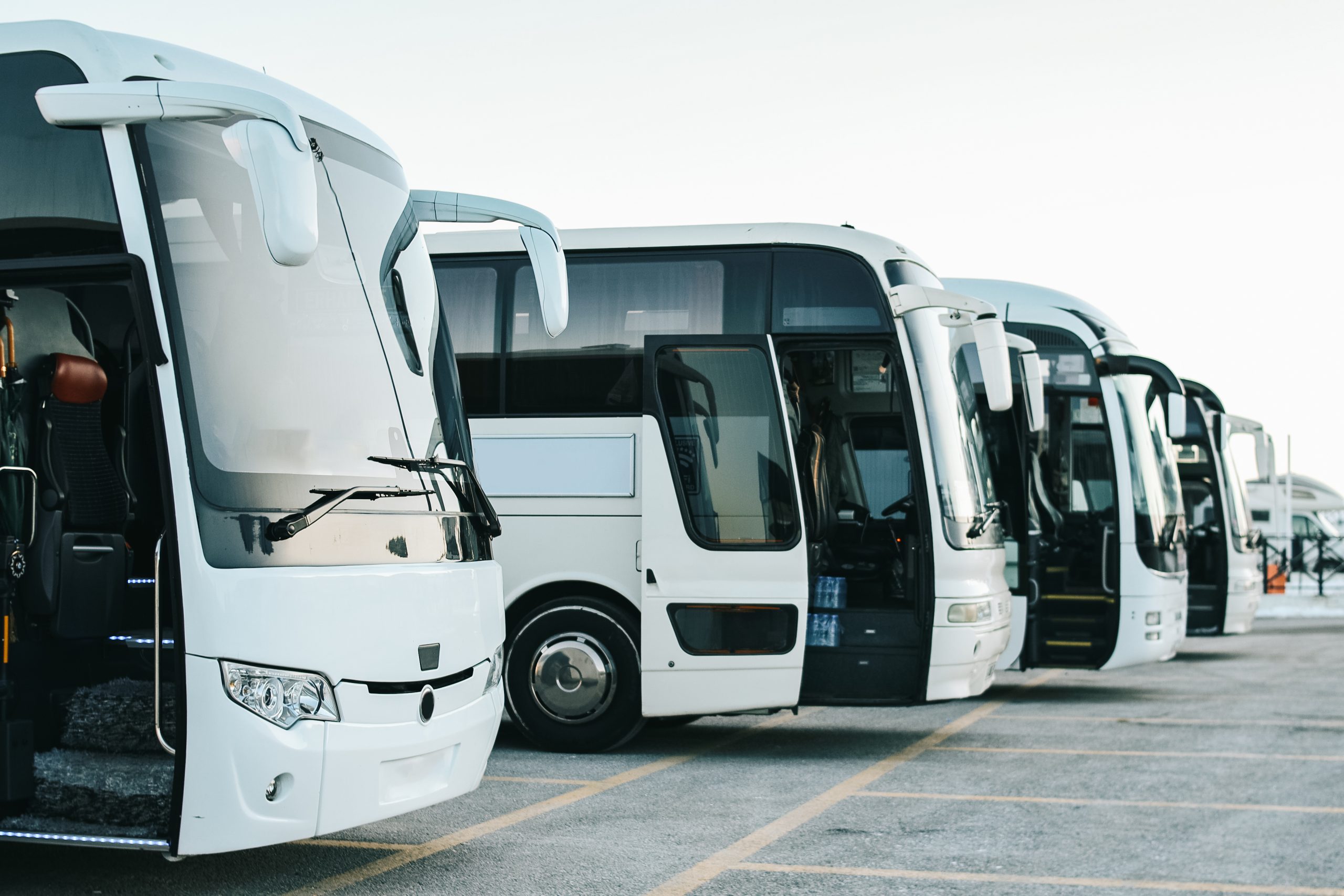 Onibus